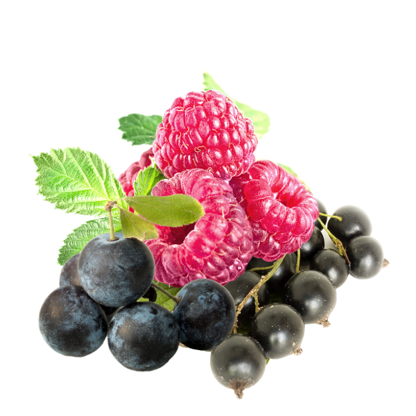 Beeren-Wildfruechte Destillate