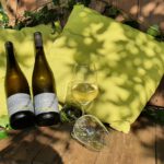 Loreley Riesling trocken und halbtrocken